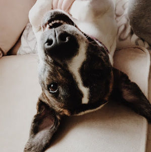 Meet your Posher, Nastasja16